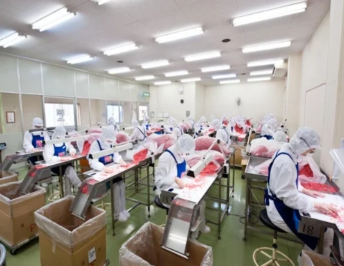 国内工場での選別作業